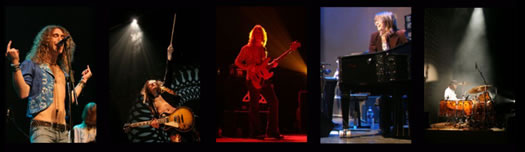 Boot Led Zeppelin - Led Zeppelin Tribute Band